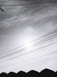 Birds flying against sky