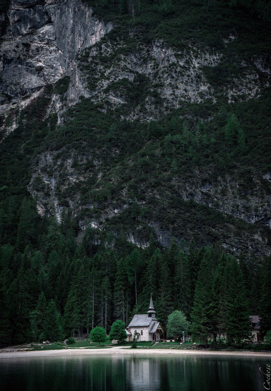 mountain, tree, forest, scenics, rock - object, tranquil scene, nature, adventure, night, no people, cliff, outdoors, spruce tree, water, sky