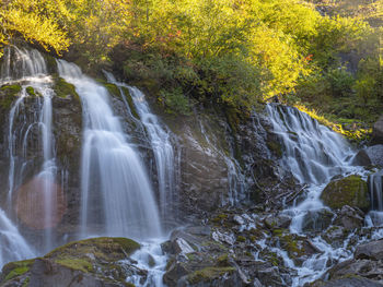 Scenic view of waterfall in forest