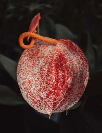 Close-up of strawberry heart shape against black background