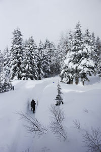 People skiing on snow covered land