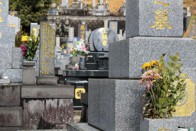 View of flowering plants at cemetery