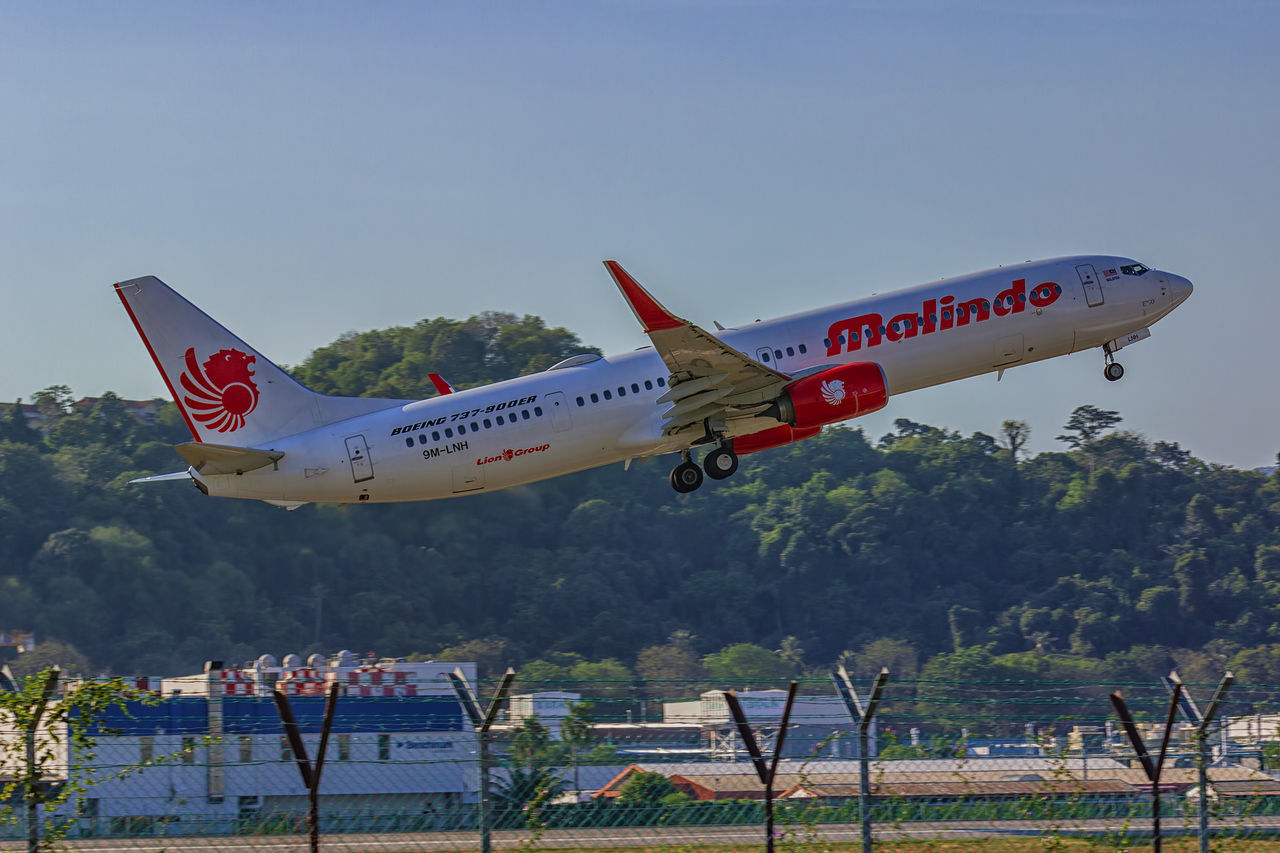 AIRPLANE FLYING ABOVE TREES