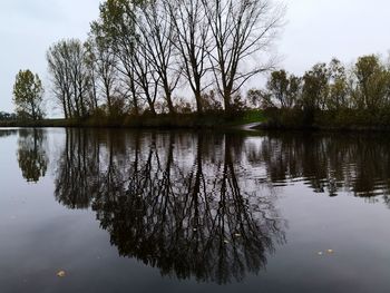 Reflection of trees in lake against sky