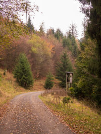 Road amidst trees in forest against sky during autumn