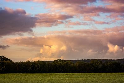 Scenic view of field against sky during sunset