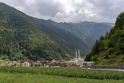 Scenic view of trees and houses against sky