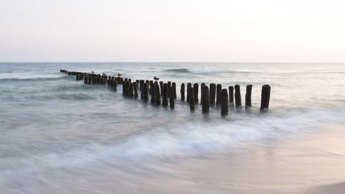 Wooden posts in sea against sky