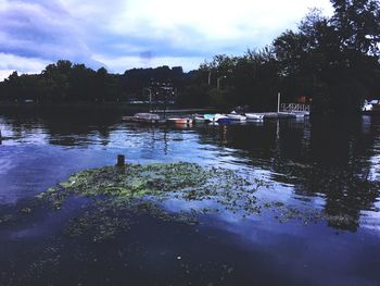 Reflection of trees in lake