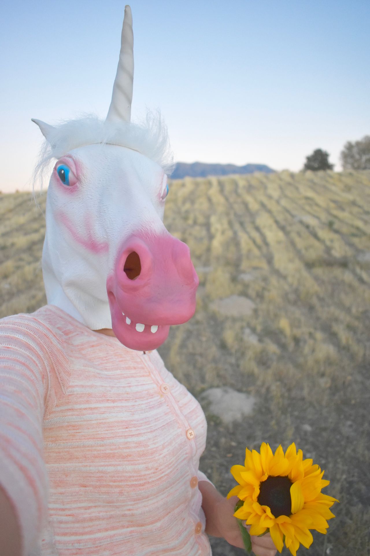 Wearing horse mask