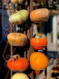 Close-up of pumpkins for sale at market stall