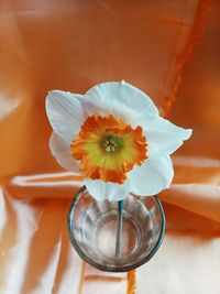 High angle view of flower vase on table