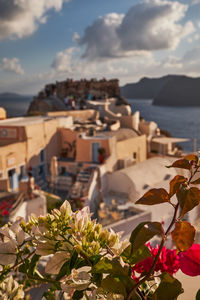 High angle view of townscape by sea against sky