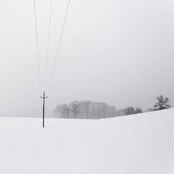 Trees on snow covered field against sky