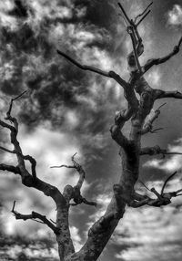 Low angle view of bare tree against cloudy sky