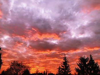 Low angle view of silhouette trees against dramatic sky