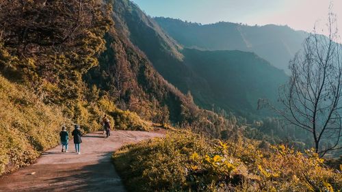 Rear view of people walking on mountain road