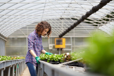 Woman working over plants in greenhouse