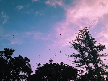 Low angle view of birds flying in sky