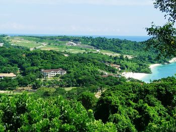 Scenic view of green landscape against sky