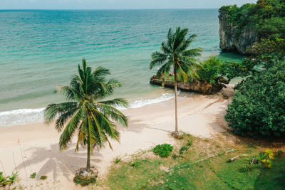 Palm trees on beach against sky