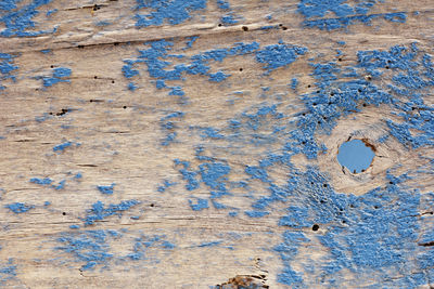 Old wood plank painted in blue , abstract background