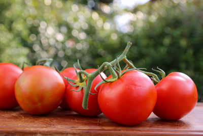 Close-up of tomatoes on table