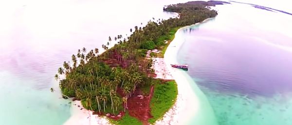 High angle view of plants by sea against sky