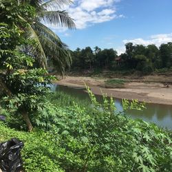 Scenic view of farm against sky