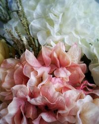 Close-up of pink roses