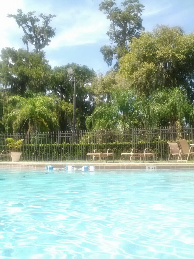 tree, water, swimming pool, blue, sky, green color, tranquility, palm tree, nature, waterfront, turquoise colored, tranquil scene, day, growth, beauty in nature, scenics, sea, sunlight, outdoors, tourist resort