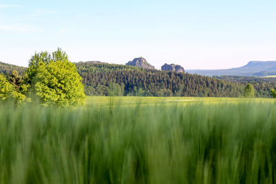 Tranquil view of field against sky