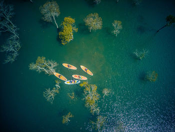 High angle view of swimming in sea