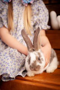 Close-up of rabbit