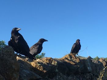 Low angle view of rocks against clear blue sky