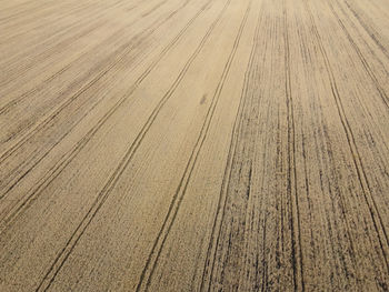 Full frame shot of wooden floor