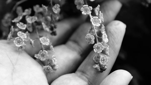 Close-up of hand holding flowers