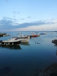 Boats moored at harbor