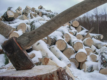 Stack of logs in snow