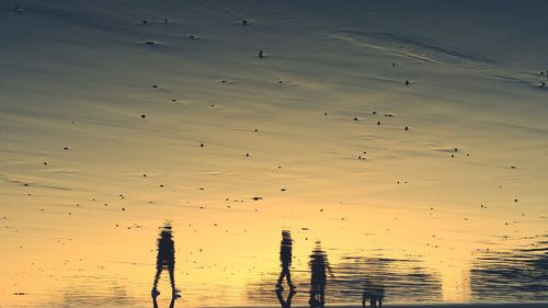 Silhouette birds flying over beach against sky during sunset