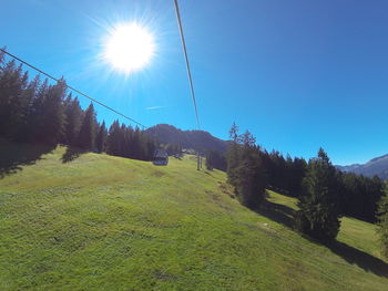 Scenic view of grassy field against sky