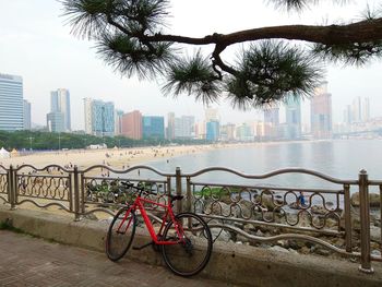 Bicycles parked in front of buildings