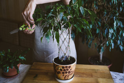 Midsection of woman gardening at table