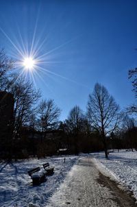 Snow covered bare trees against sky