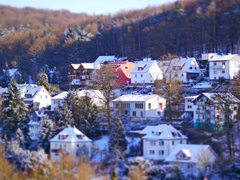 Houses in town