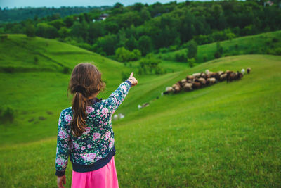 Rear view of girl pointing at flock of sheep