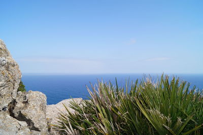 Scenic view of sea against clear blue sky