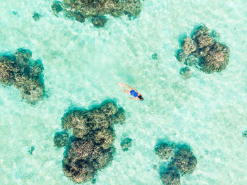 High angle view of people swimming in sea