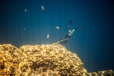 Low angle view of man swimming in sea