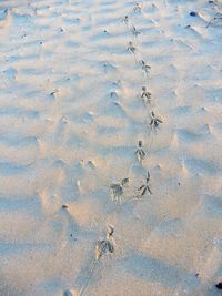 High angle view of footprints on sand